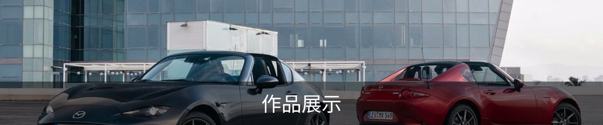 作品展示